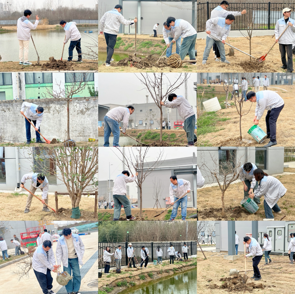 春風十里，正植有你|安徽芯視佳開展植樹節活動