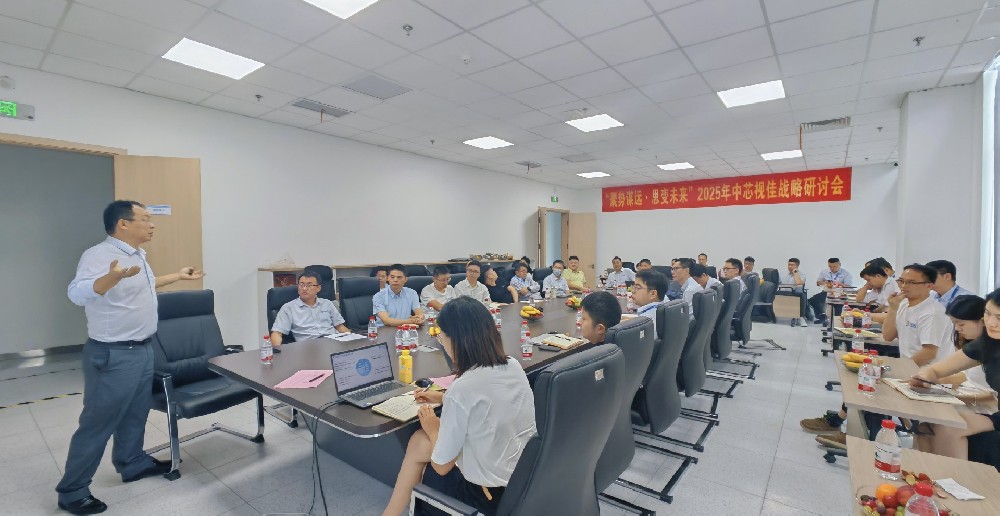 芯視佳成功舉辦“聚勢謀遠·思變未來”—2025年中戰略研討會