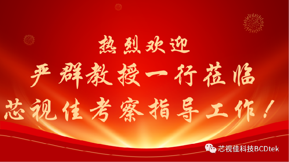 嚴群教授一行蒞臨深圳市芯視佳半導體科技有限公司考察并指導工作！