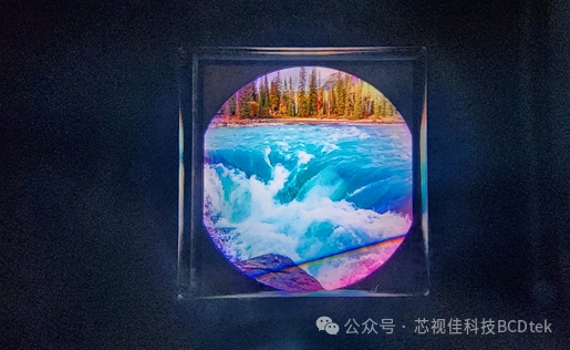 VR/AR 兩周微動態 | 20240823