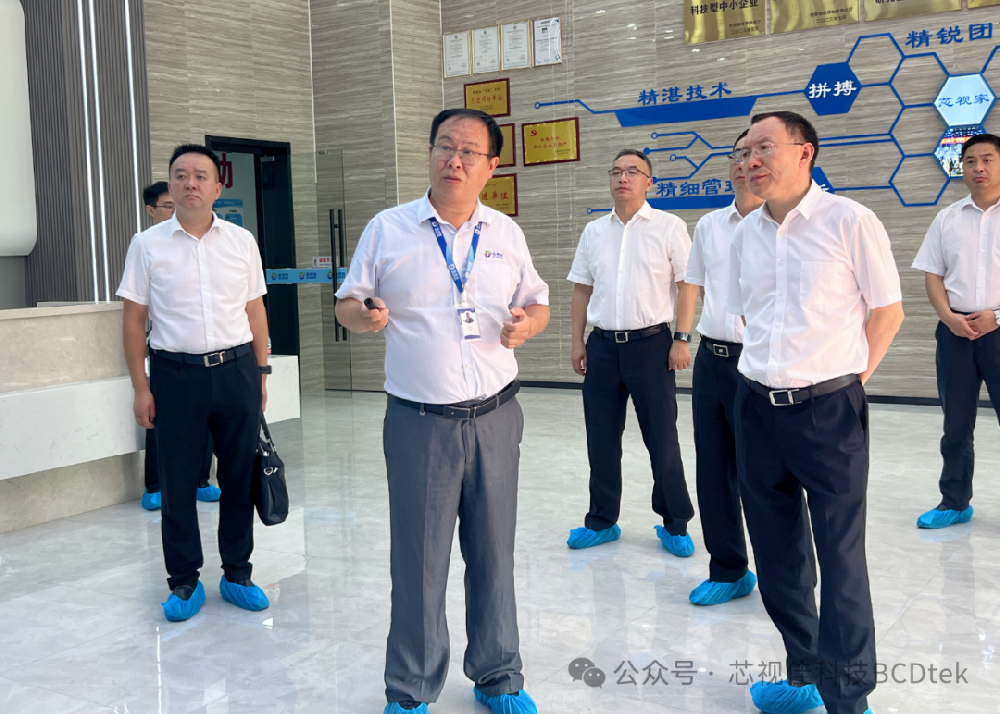 四川省政府副省長、德陽市委書記李文清一行蒞臨安徽芯視佳考察指導工作