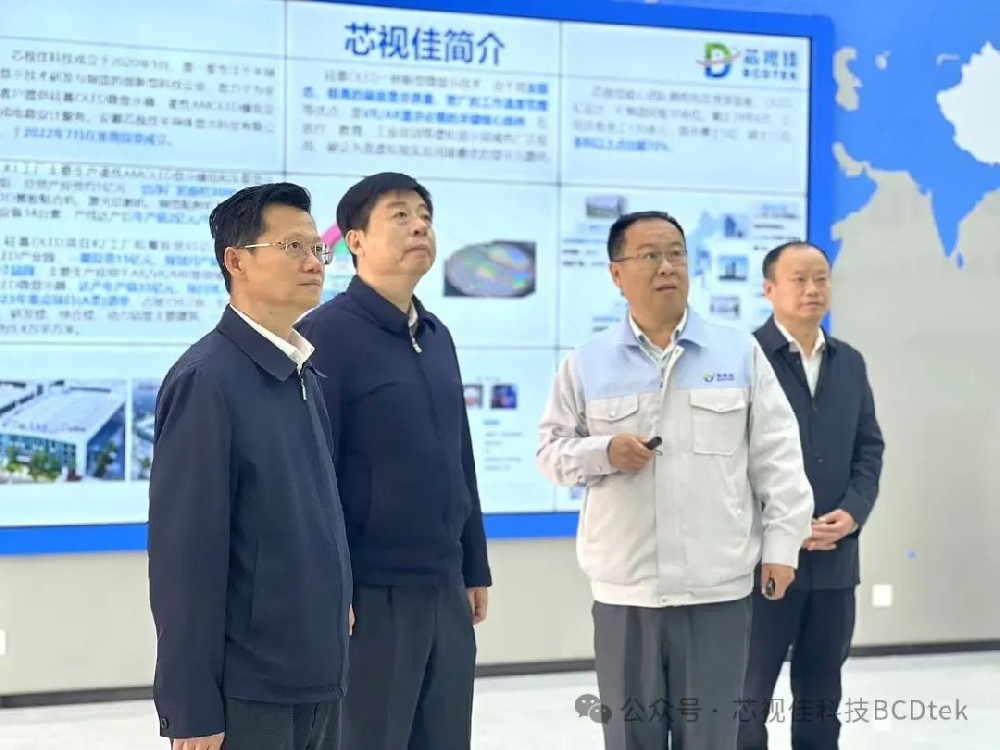 省社會(huì)工作部部長(zhǎng)陳韶光調(diào)研芯視佳科技非公黨建工作